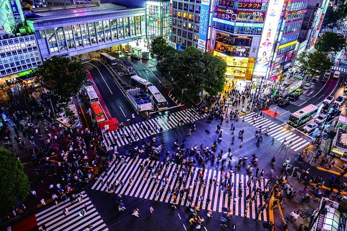 東京23区葬祭市場の現在地　先進性かつ多様性に富んだメガ市場